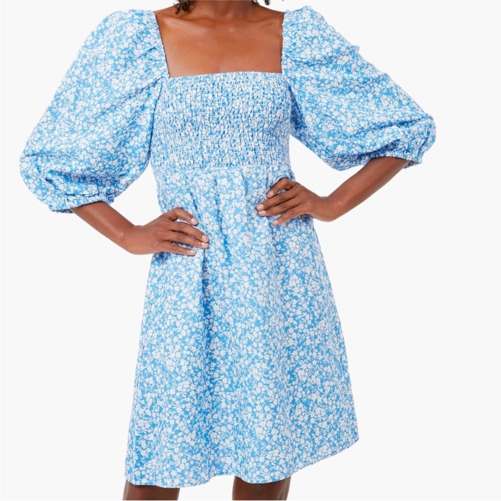 Tuckernuck Annie Dress in Blooms on Broad XS.